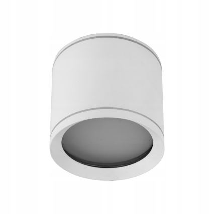 Spot VIVO 1xGX53/10W/230V 10 cm wit