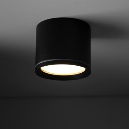 Spot VIVO 1xGX53/10W/230V 6 cm zwart