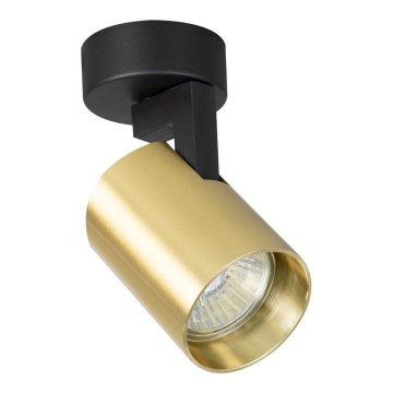 Spot VOLF 1xGU10/10W/230V goud/zwart