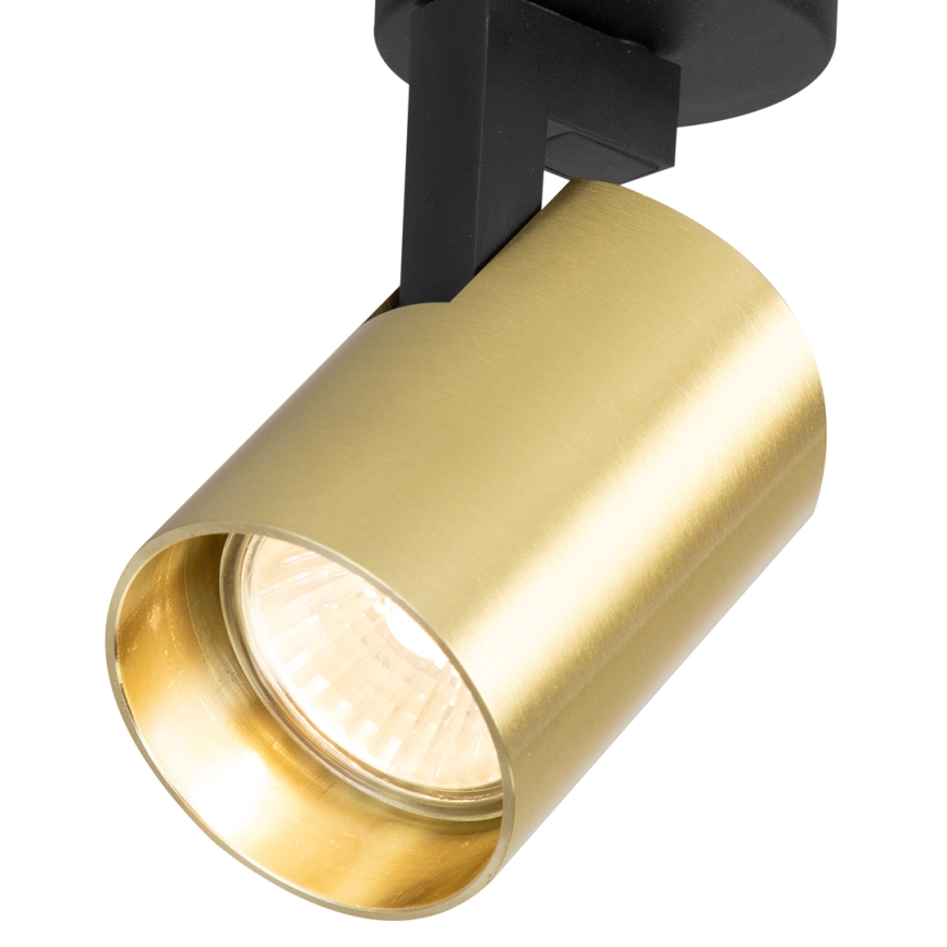 Spot VOLF 1xGU10/10W/230V goud/zwart