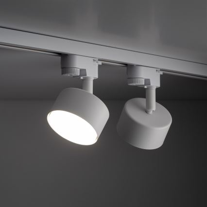 Spot voor 1-fase railsysteem AVIA 1xGX53/15W/230V wit