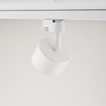 Spot voor 1-fase railsysteem AVIA 1xGX53/15W/230V wit