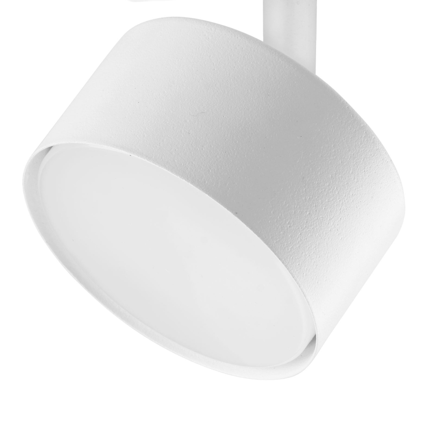 Spot voor 1-fase railsysteem AVIA 1xGX53/15W/230V wit