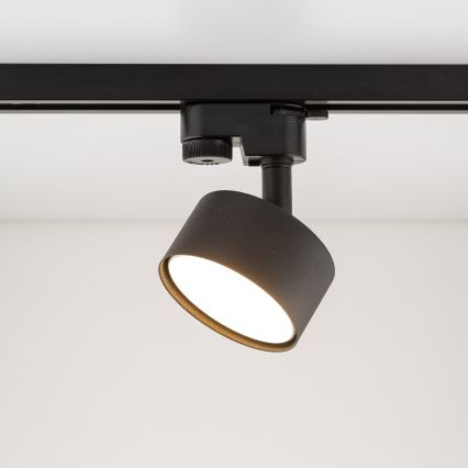 Spot voor 1-fase railsysteem AVIA 1xGX53/15W/230V zwart