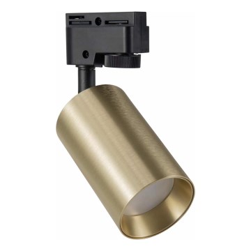 Spot voor een rail Systeem MARIBEL 1xGU10/10W/230V goud