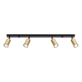 Spot WINX 4xGU10/10W/230V zwart/goud