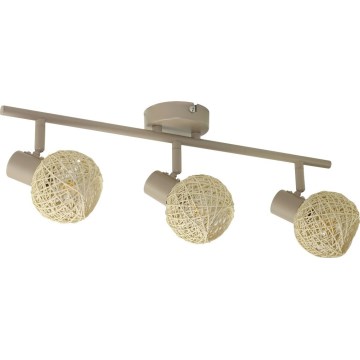 Spotarmatuur DEX 3xE14/10W/230V beige/crème