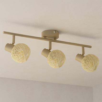 Spotarmatuur DEX 3xE14/10W/230V beige/crème