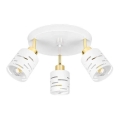 Spotlamp ELEN 3xE27/35W/230V wit/goud