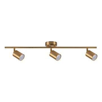 Spotlamp GOLDIE 3xGU10/10W/230V goudkleurig