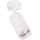 Spotlamp PIPE 1xGU10/10W/230V wit