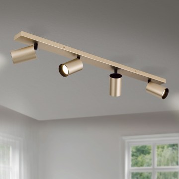 Spotlamp SEAN 4xGU10/13W/230V goudkleurig