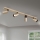 Spotlamp SEAN 4xGU10/13W/230V goudkleurig