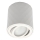 Spotlamp ZOLA 1xGU10/30W/230V wit