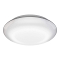 Steinel 035440 - LED Buitenlamp met sensor QUATTRO LED/10W/230V IP54