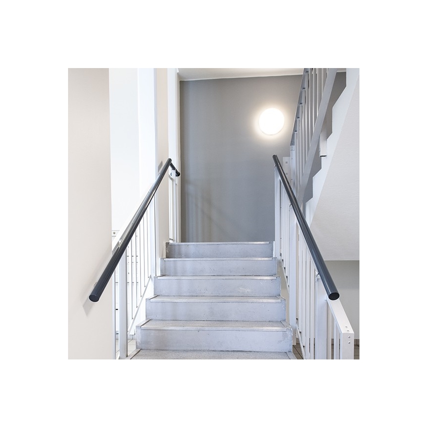 Steinel 057107 - LED Plafondlamp met sensor RS PRO LED/16W/230V IP40 3000K