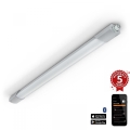 Steinel 058722 - LED Dimbaar heavy-duty lamp RS PRO 5150 C LED/42W/230V IP65