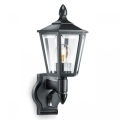 Steinel 069179 - Wand Lamp voor Buiten L 15 1xE27/60W/230V IP44 zwart