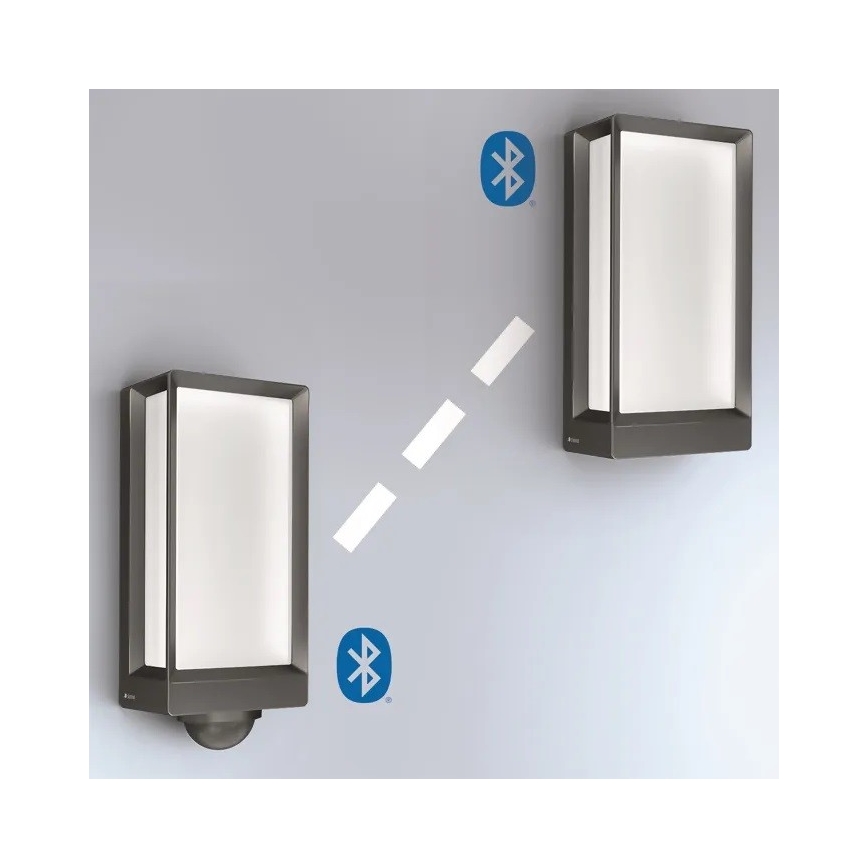 Steinel 085254 - LED Dimbare wandlamp voor buiten L42C LED/12,6W/230V IP54