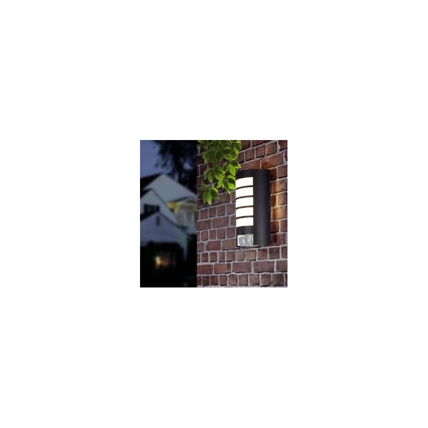STEINEL 657819 - Buitenlamp met sensor L12 1xE27/60W/230V IP44