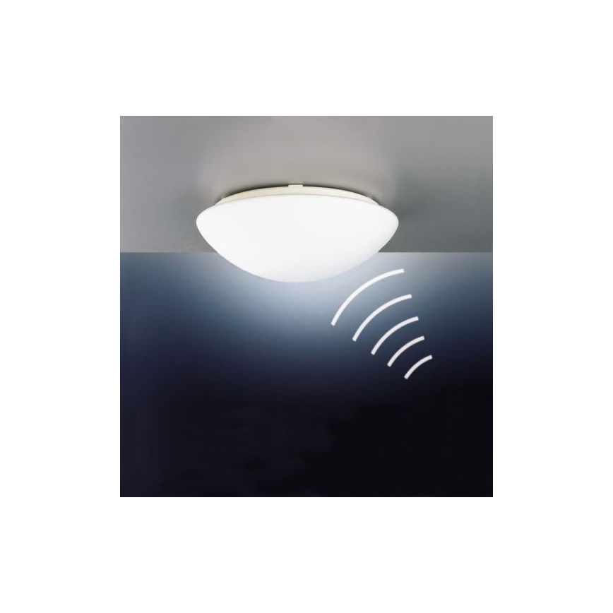 STEINEL 738013-RS 16L - Lamp voor Buiten met Sensor 1xE27/60W/230V IP44