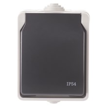 Stopcontact voor Buiten FRENCH 250V/16A IP54