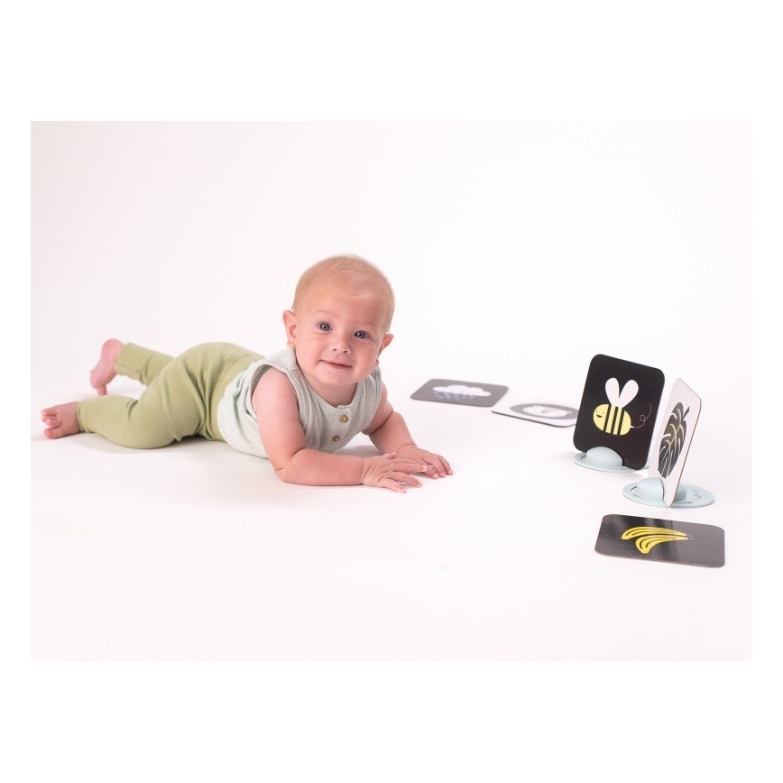 Taf Toys - Buiktijdkaarten 18 st
