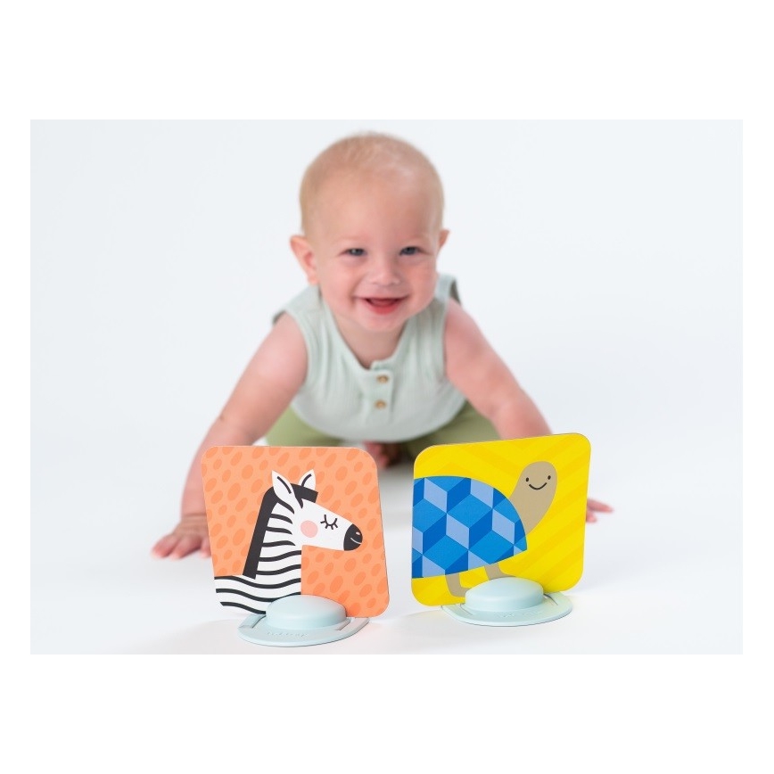 Taf Toys - Buiktijdkaarten 18 st