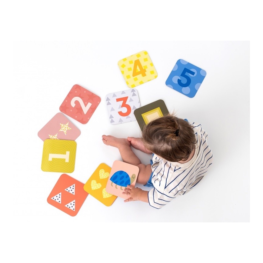 Taf Toys - Buiktijdkaarten 18 st