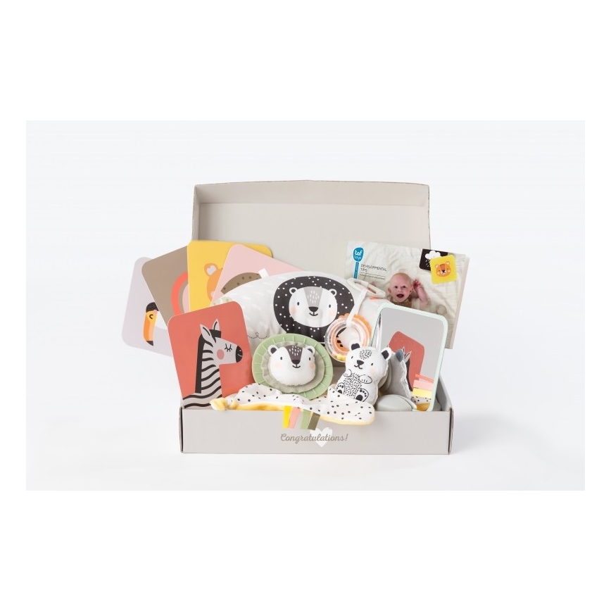 Taf Toys - Geschenkdoos HELLO BABY