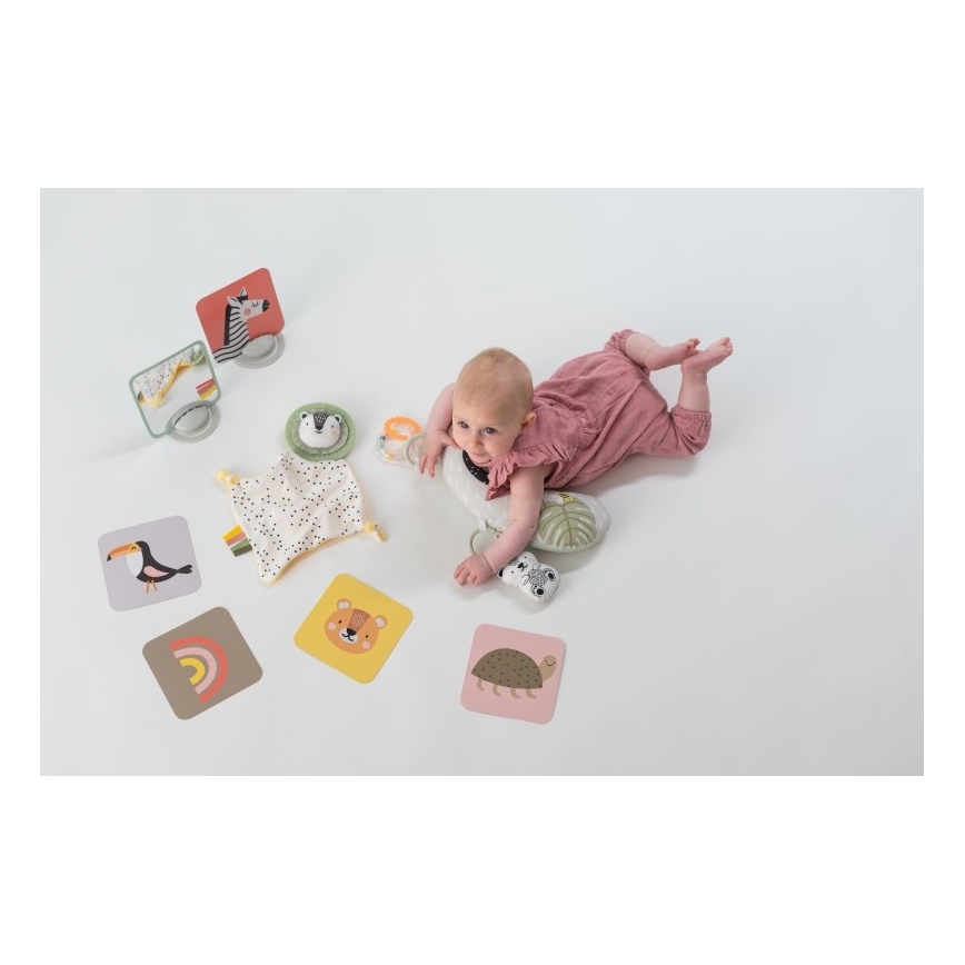Taf Toys - Geschenkdoos HELLO BABY