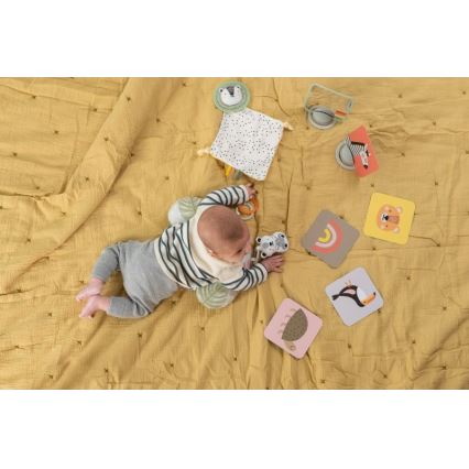 Taf Toys - Geschenkdoos HELLO BABY