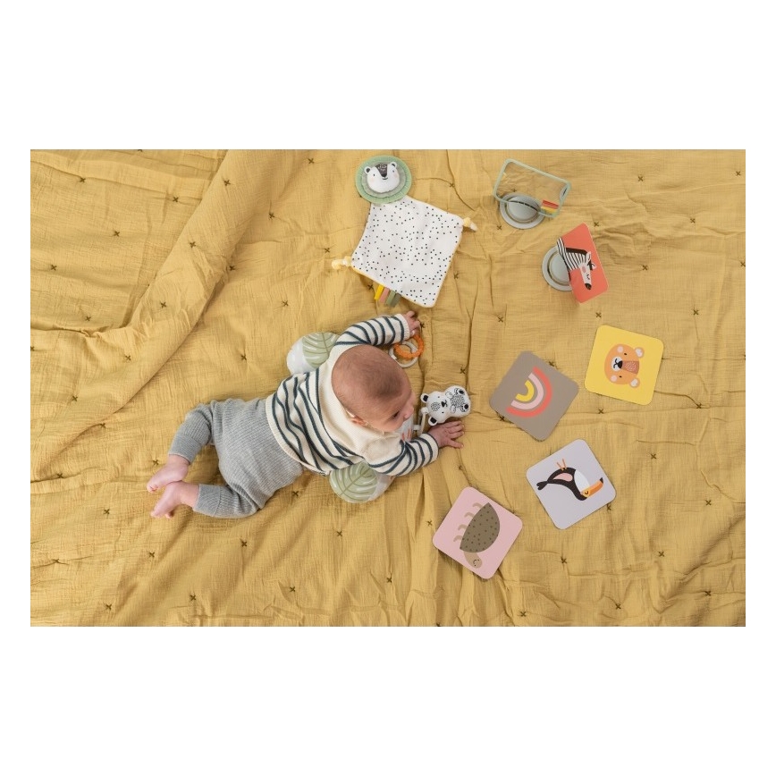 Taf Toys - Geschenkdoos HELLO BABY
