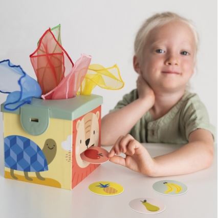 Taf Toys - Interactieve speeldoos MAGIC BOX