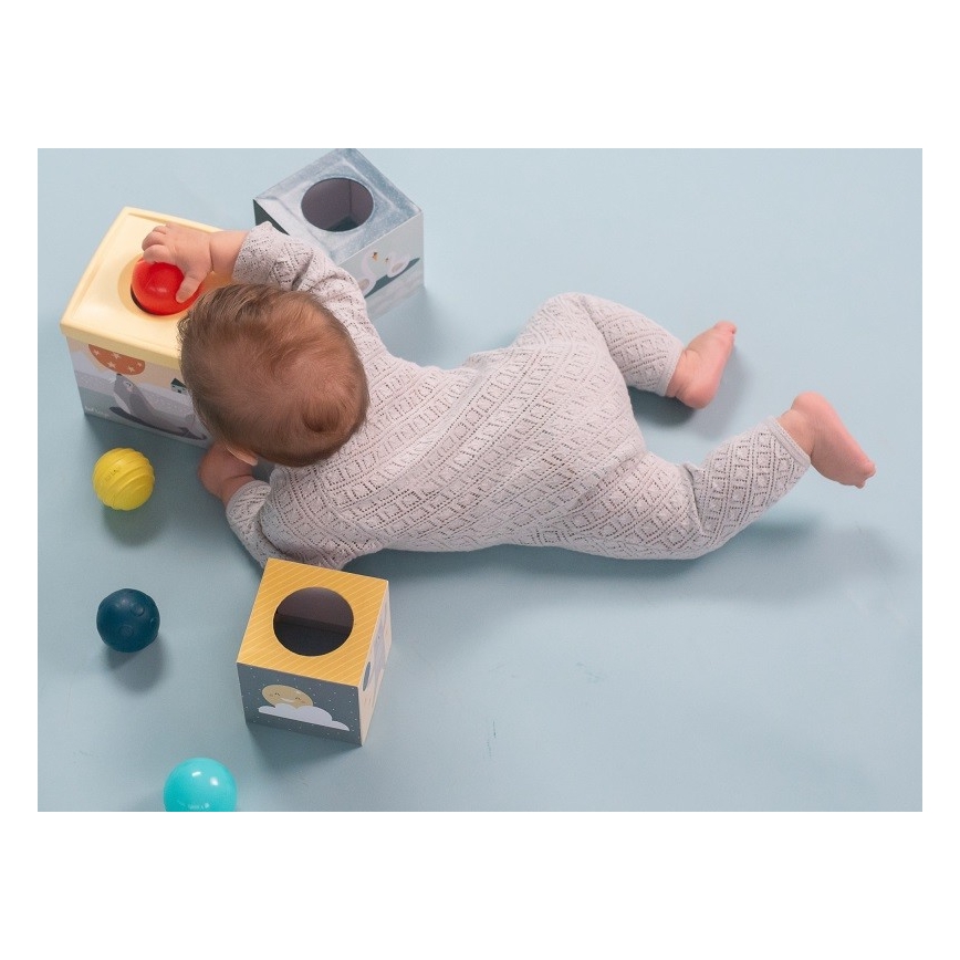 Taf Toys - Interactieve speelset Noordpool