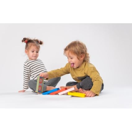 Taf Toys - Kinder dominostenen 4 in 1 dieren