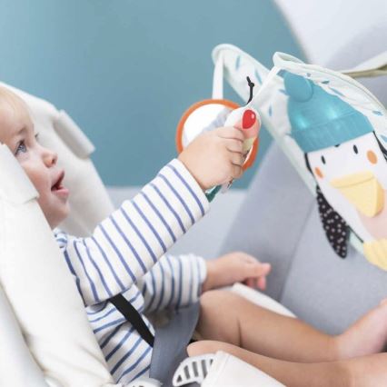 Taf Toys - Play & Kick auto toy pinguïn 3xAA