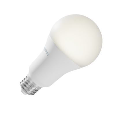 TechToy - Dimbare LED RGB Smart Lamp E27/11W/230V 2700-6500K Wi-Fi