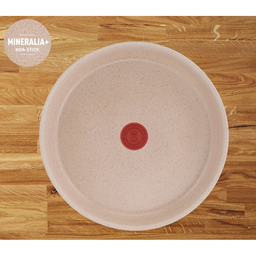 Tefal - 17-delige pannenset INGENIO DELIGHT