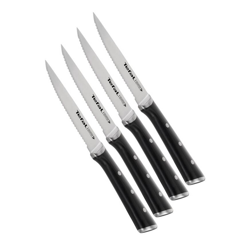 Tefal - Set van 4 roestvrijstalen steakmessen ICE FORCE 11 cm, glanzend chroom/zwart