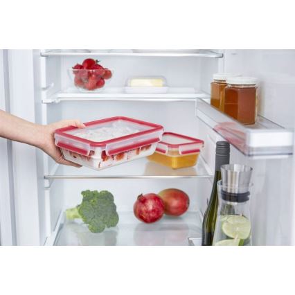Tefal - Bewaarcontainer 0,85 l MSEAL GLASS rood/glas