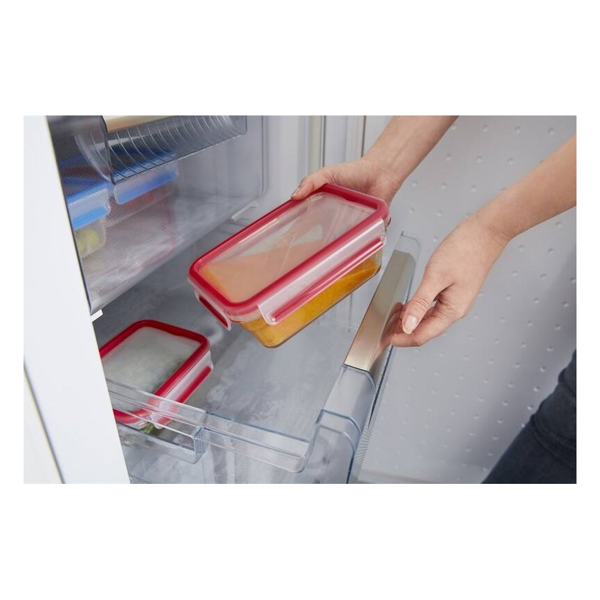 Tefal - Bewaarcontainer 0,85 l MSEAL GLASS rood/glas