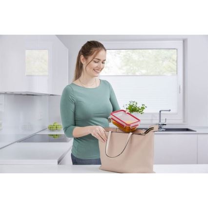 Tefal - Bewaarcontainer 0,85 l MSEAL GLASS rood/glas