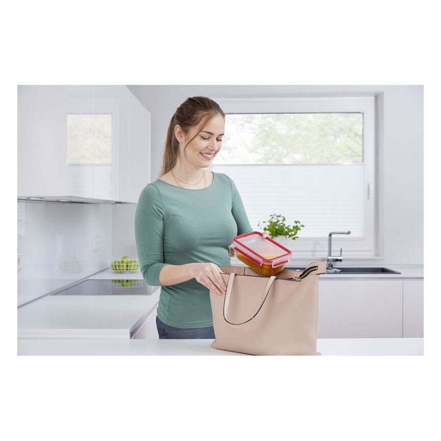 Tefal - Bewaarcontainer 0,85 l MSEAL GLASS rood/glas