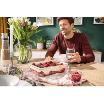 Tefal - Bewaarcontainer voor levensmiddelen 3 l MSEAL GLASS rood/glas