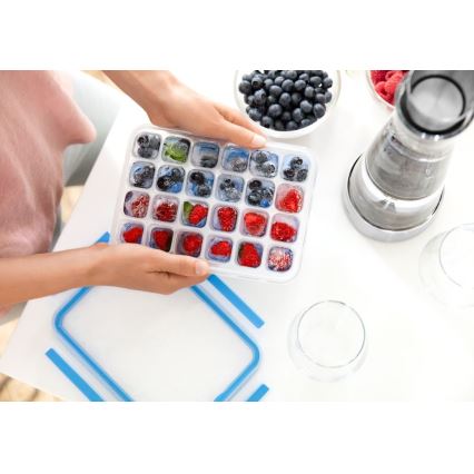 Tefal - IJsblokjesvorm 24 blokjes MASTER SEAL blauw