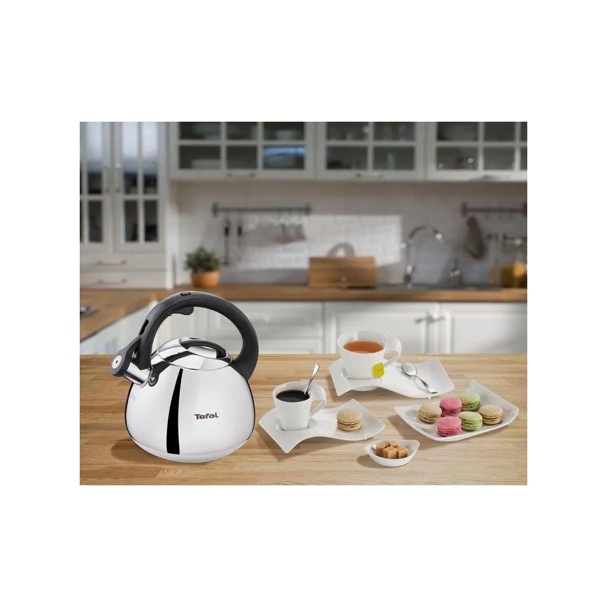 Tefal - Inductie waterkoker 2,7 l roestvrij
