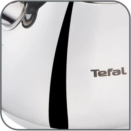 Tefal - Inductie waterkoker 2,7 l roestvrij