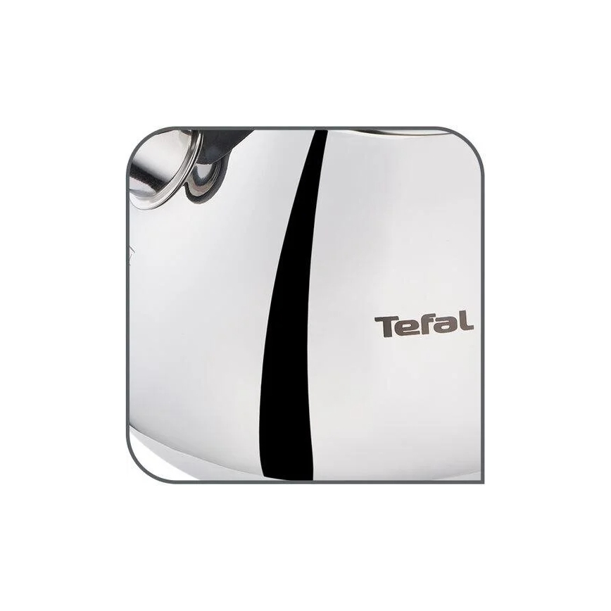 Tefal - Inductie waterkoker 2,7 l roestvrij