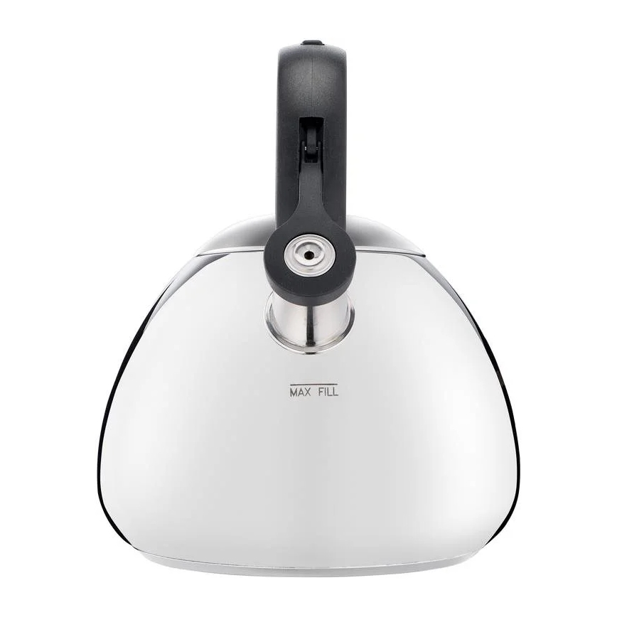Tefal - Inductie waterkoker 2,7 l roestvrij